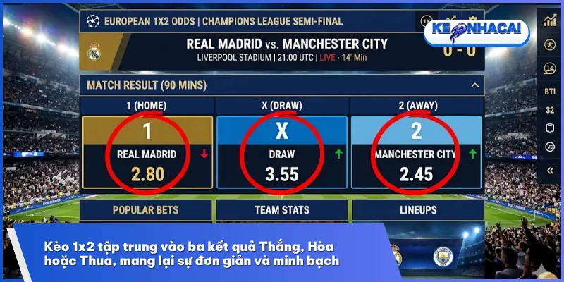 Kèo 1x2 ghi điểm nhờ sự minh bạch và dễ hiểu cho người mới bắt đầu cá cược