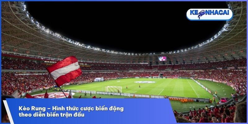Khái quát về kèo rung trong cá cược bóng đá