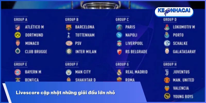Livescore bao quát toàn bộ lịch thi đấu từ các sân chơi lớn như World Cup, Euro đến V-League và cả những giải đấu ít phổ biến