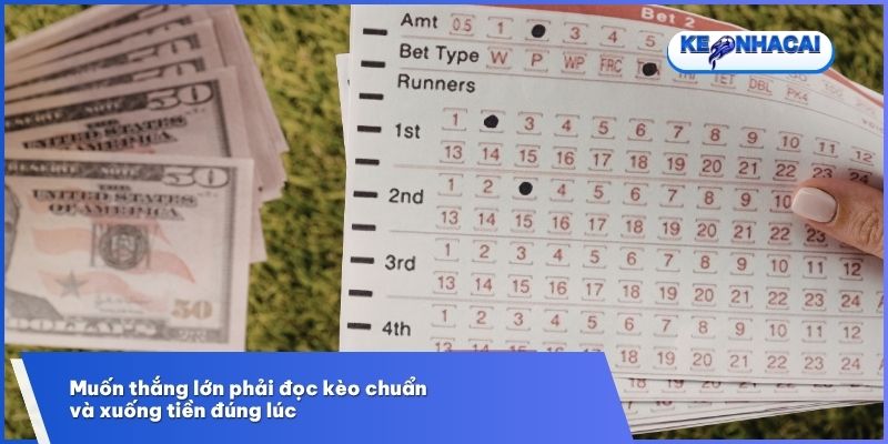 Muốn thắng lớn phải đọc kèo chuẩn và xuống tiền đúng lúc