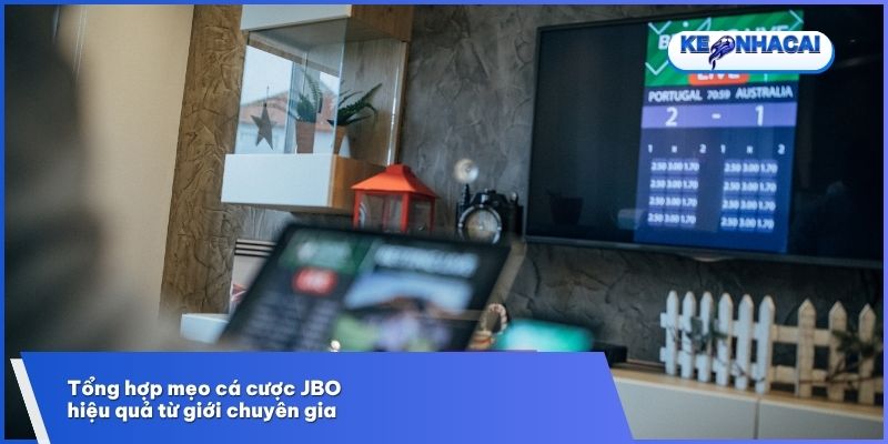 Bí quyết cá cược JBO được chia sẻ từ những cao thủ giàu kinh nghiệm