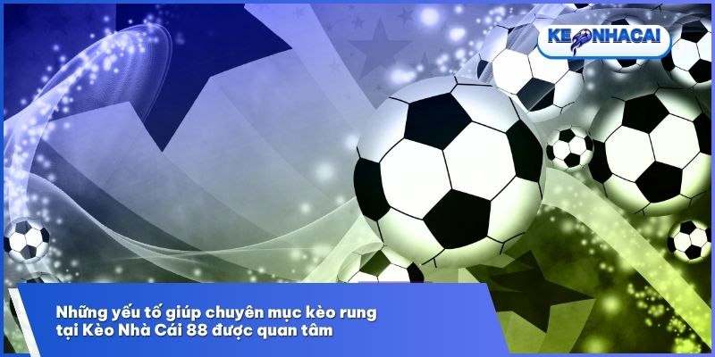 Lý do nhiều người ưa chuộng theo dõi kèo rung tại Kèo Nhà Cái 88